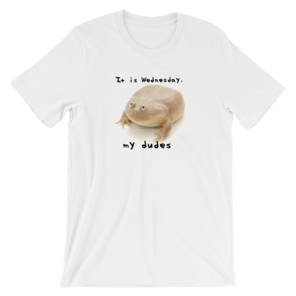 It is Wednesday mY dudes | Funny meme T-shirt 